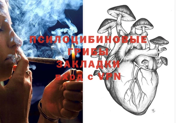 кокс Каменка