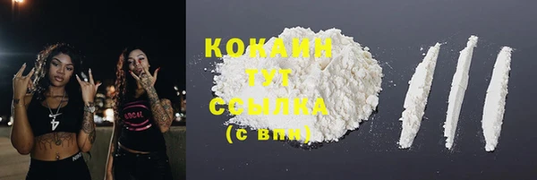 mdpv Инта
