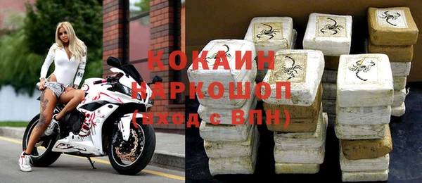 2c-b Инсар