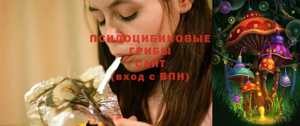 кокс Каменка