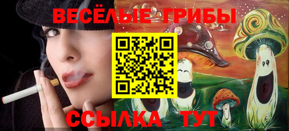 Псилоцибиновые грибы GOLDEN TEACHER Лангепас